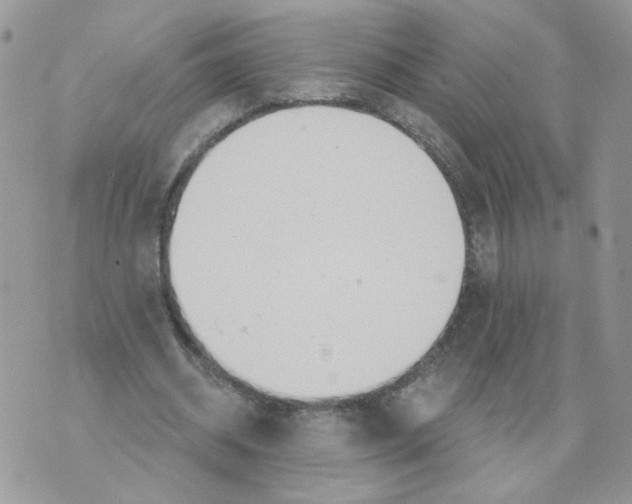 X0000070360534200607072105