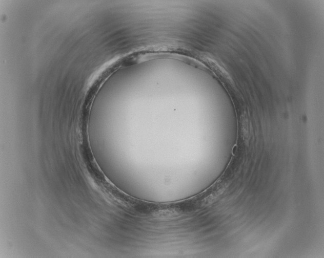 X0000070360536200607072105