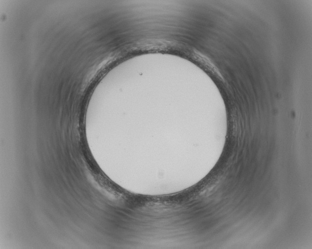 X0000070360538200607072105