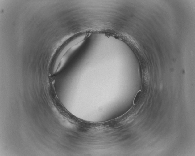 X0000070360540200607072105