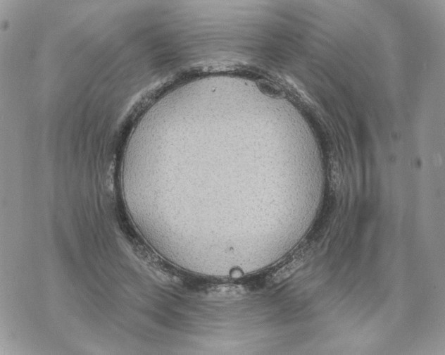 X0000070360543200607072106