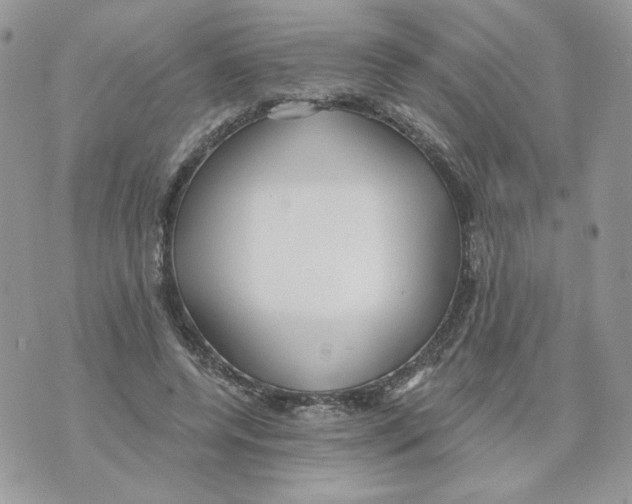 X0000070360544200607072106