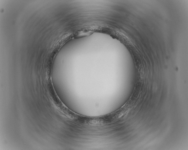 X0000070360546200607072106