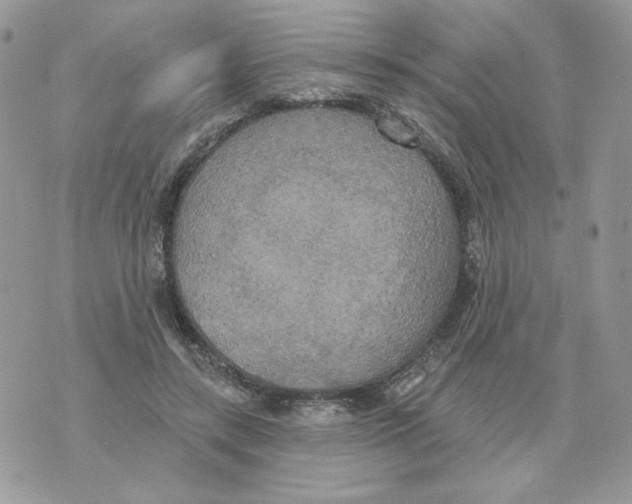 X0000070360547200607072106