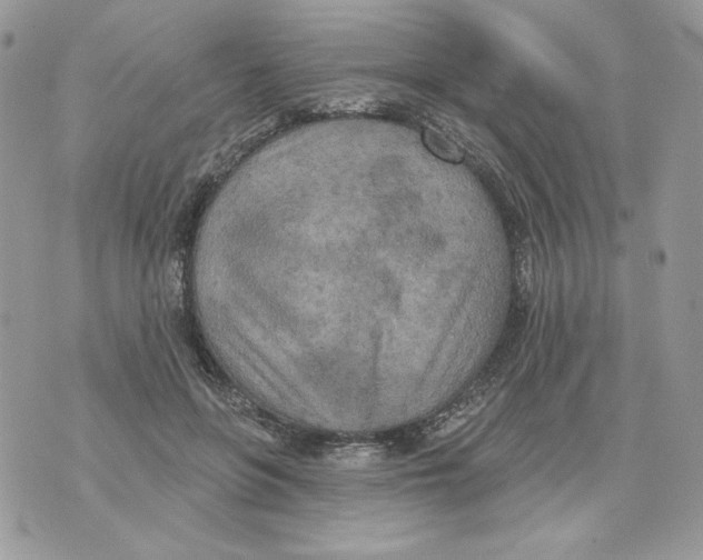 X0000070360551200607072106