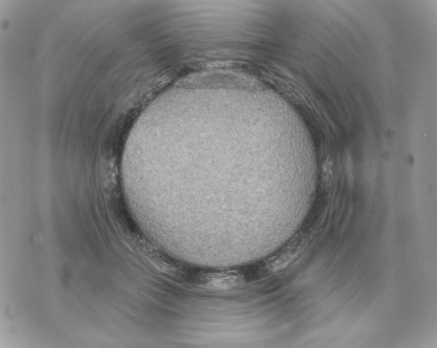 X0000070360555200607072106