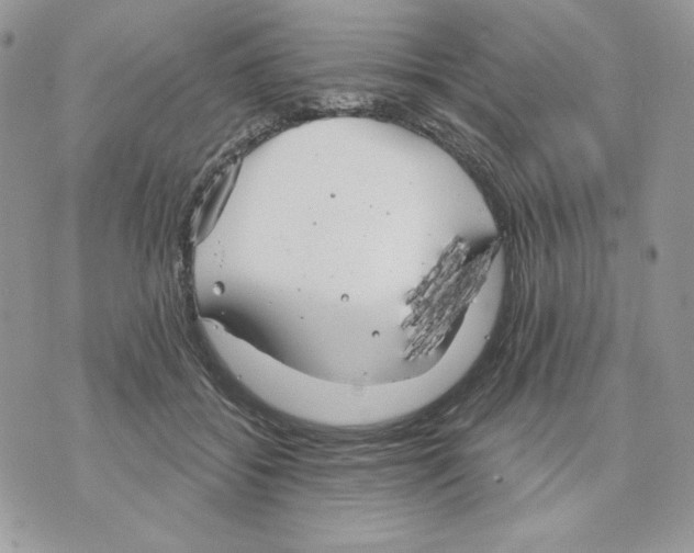 X0000070360556200607072106