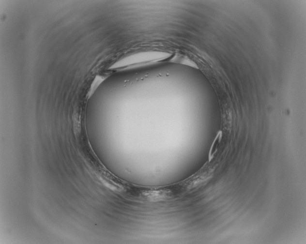 X0000070360558200607072106