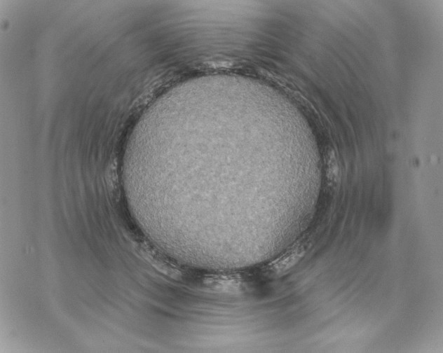 X0000070360559200607072106