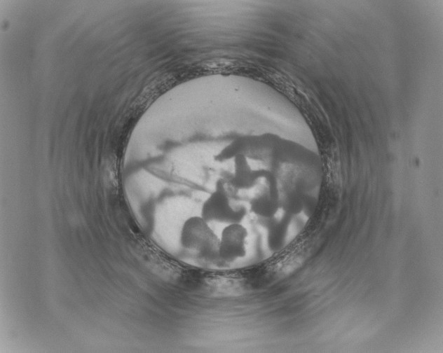 X0000070360561200607072106