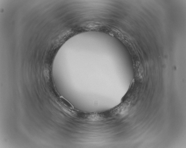 X0000070360562200607072106