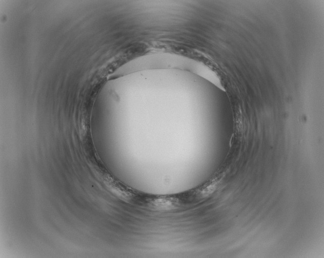 X0000070360566200607072106