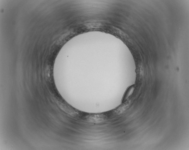 X0000070360567200607072106