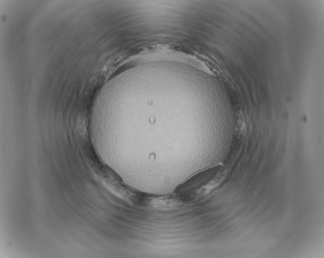 X0000070360568200607072106