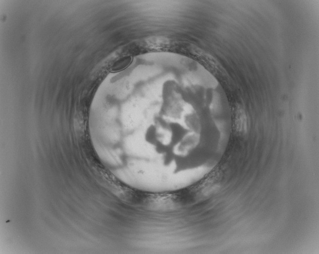 X0000070360569200607072106