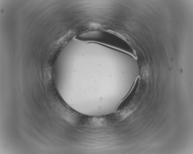 X0000070360570200607072106