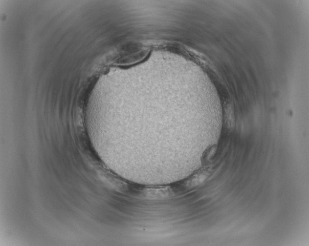 X0000070360571200607072106