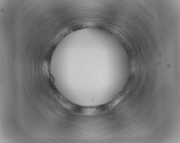 X0000070360575200607072106