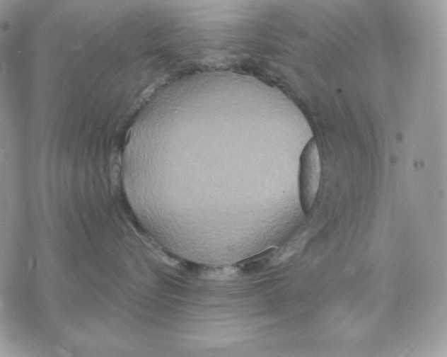 X0000070360576200607072106