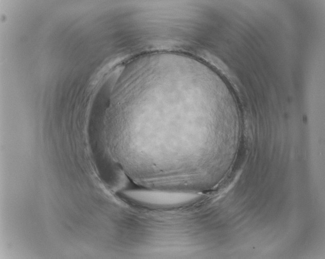 X0000070360577200607072105