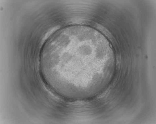 X0000070360578200607072105