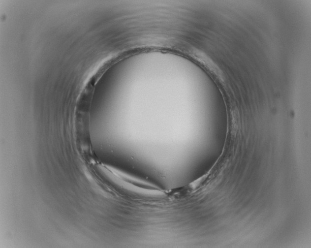 X0000070360580200607072105