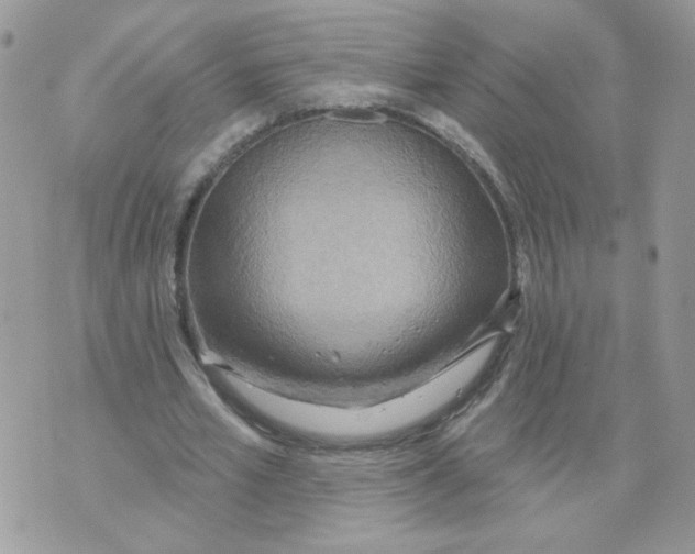 X0000070360581200607072105