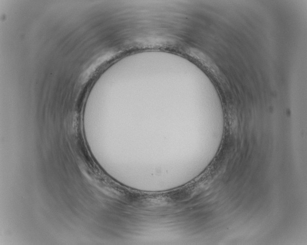 X0000070360583200607072105