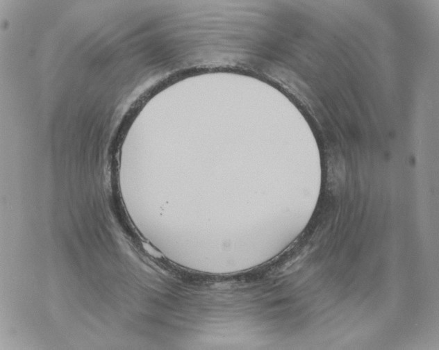 X0000070360584200607072105