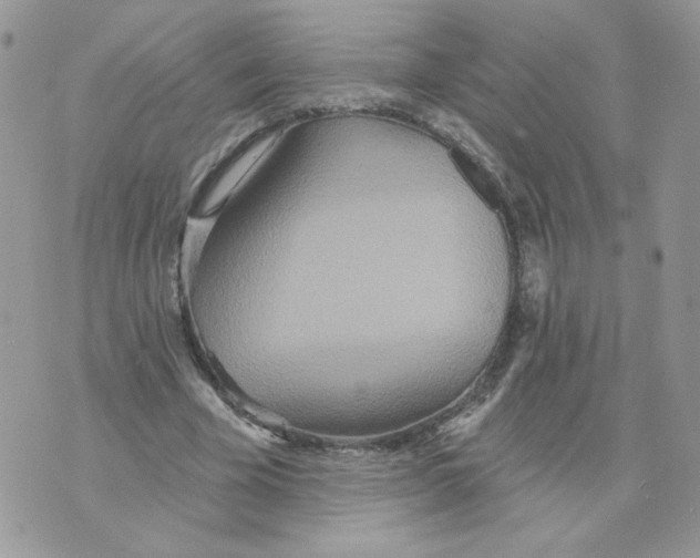 X0000070360585200607072105