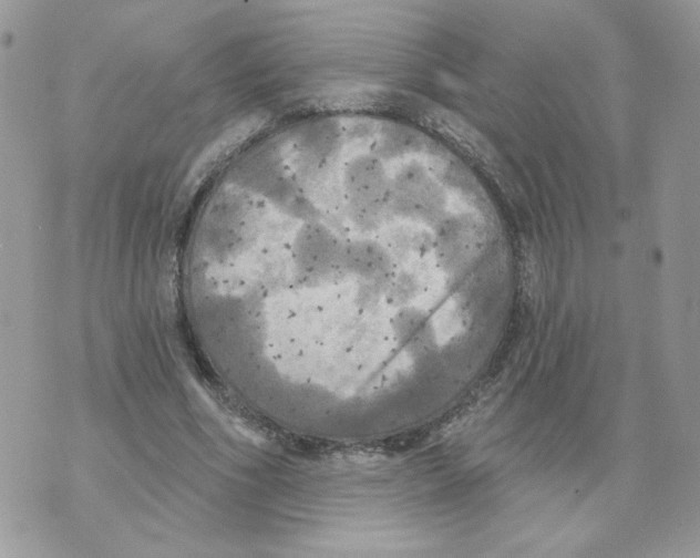 X0000070360586200607072105