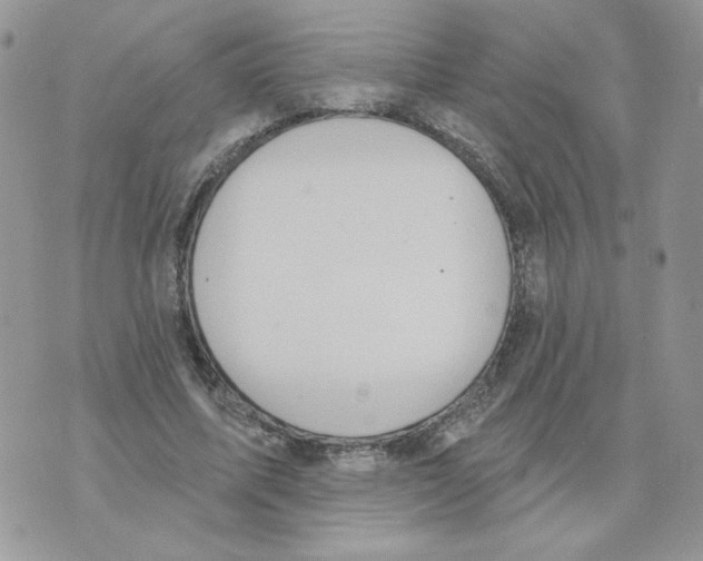 X0000070360587200607072105