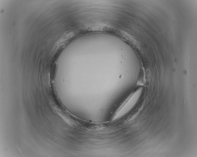 X0000070360589200607072105