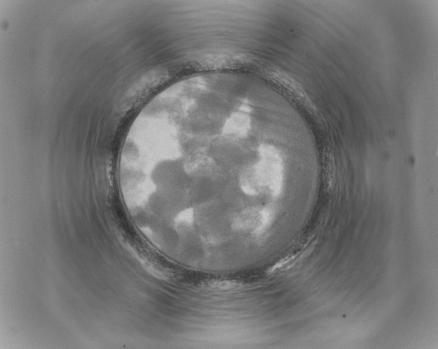 X0000070360590200607072105