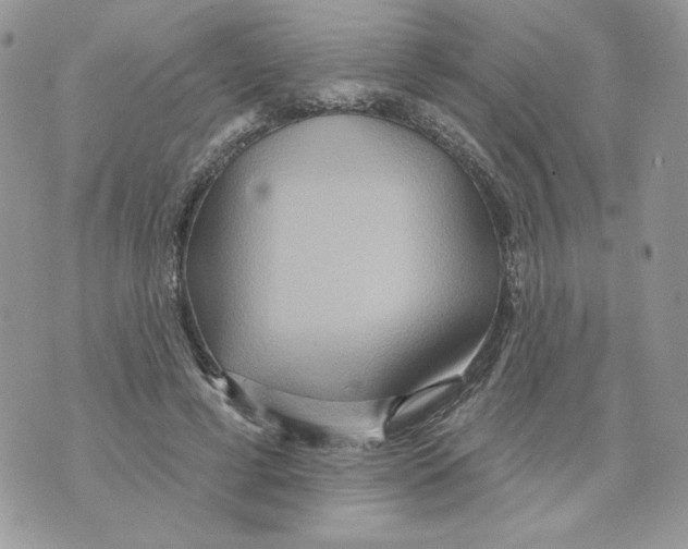 X0000070360593200607072105