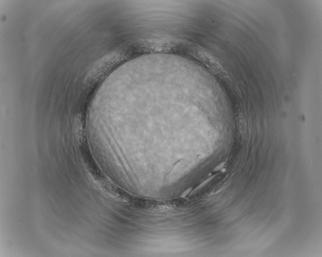 X0000070360594200607072105