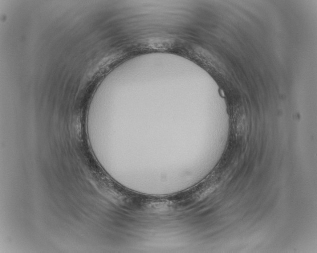 X0000070360595200607072105