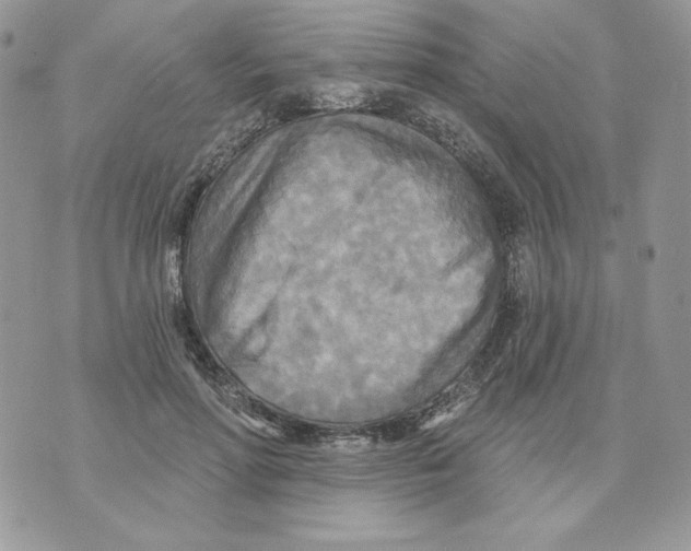 X0000070360598200607072105