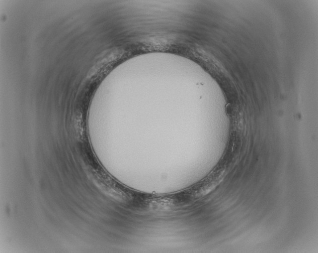 X0000070360599200607072105