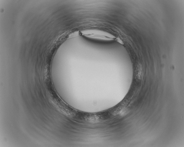 X0000070360600200607072105