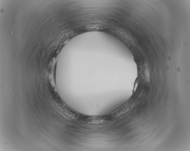 X0000070360601200607072105