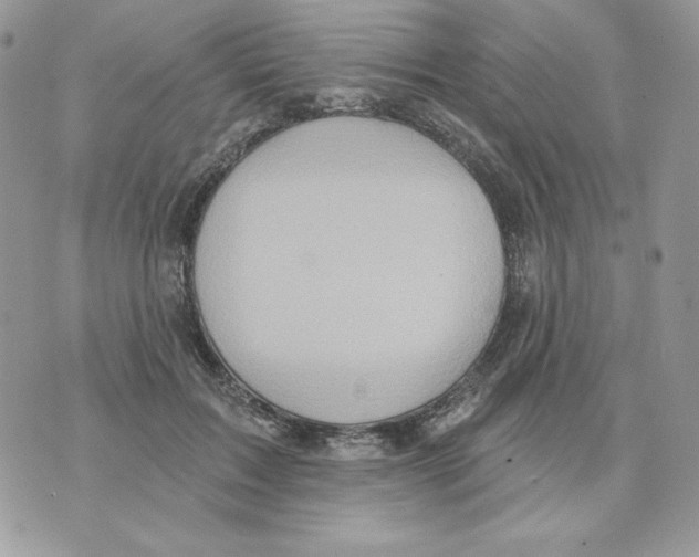 X0000070360603200607072105