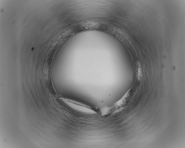 X0000070360604200607072105