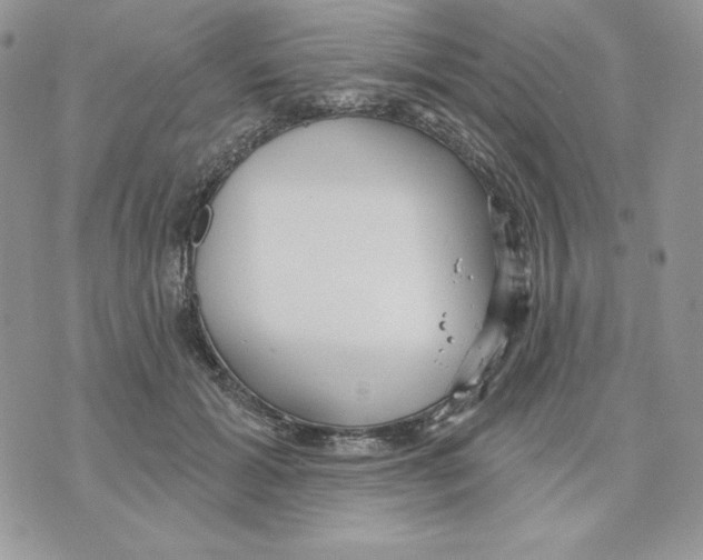 X0000070360605200607072105