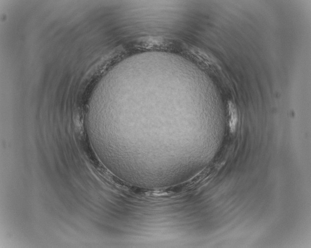 X0000070360607200607072105