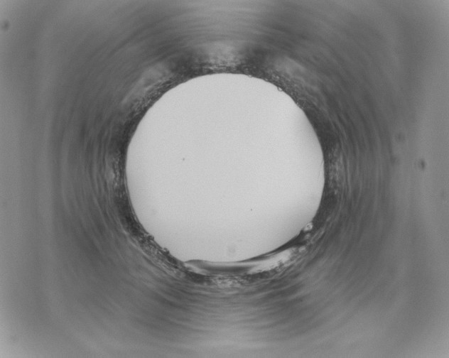 X0000070360608200607072105