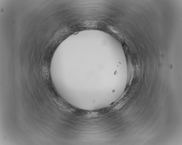 X0000070360609200607072105