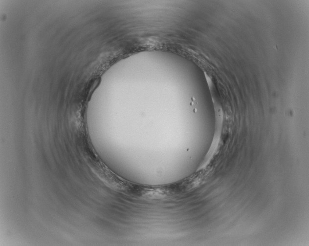 X0000070360611200607072105