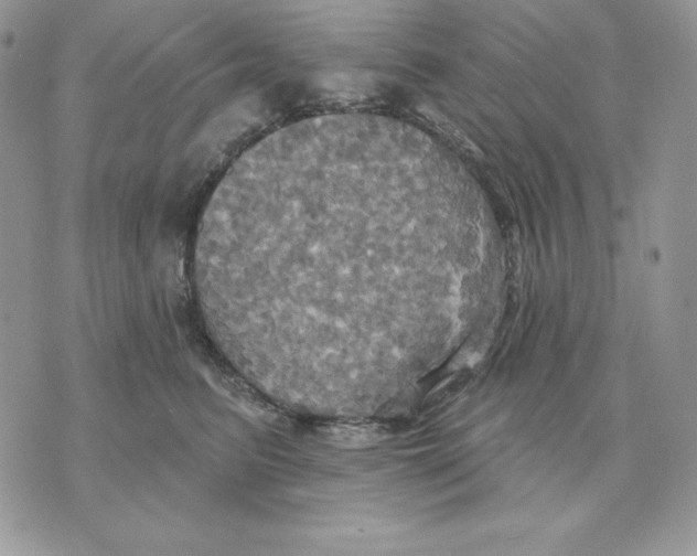 X0000070360615200607072105