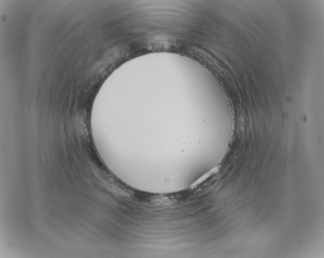 X0000070360616200607072105